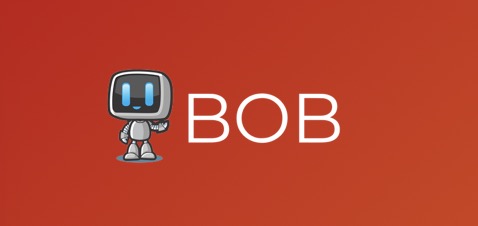BOB Robotics