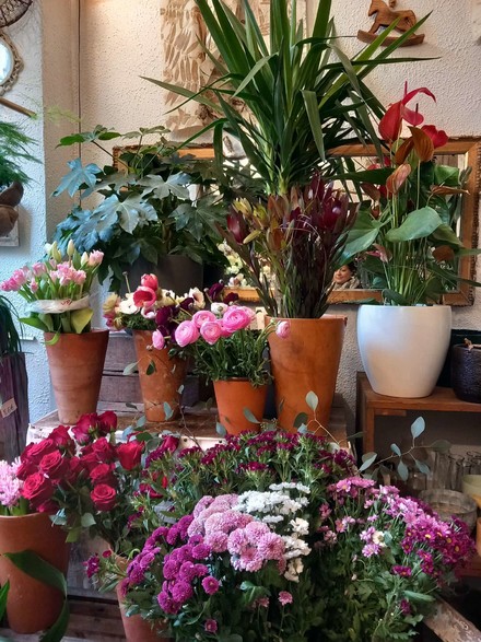 WhatsApp Image 2026-01-29 at 15.56.06 (3).jpeg